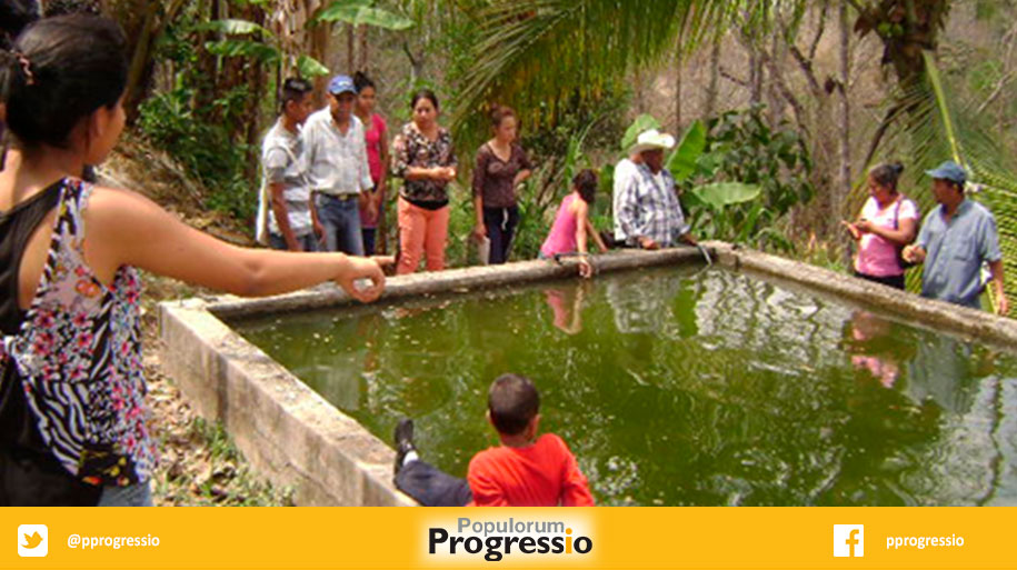 MULTIPLICACIÓN DE LOS PECES EN ILOBASCO